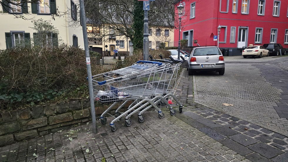 Einkaufswagen-0002